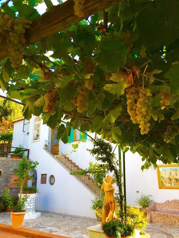 B&B Il Grappolo Anacapri  Exterior foto