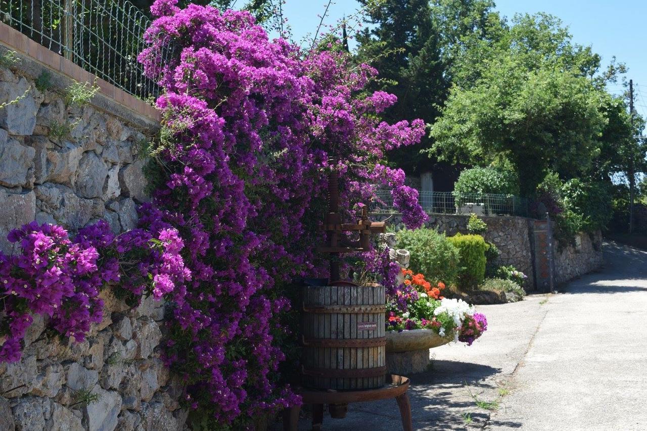 B&B Il Grappolo Anacapri  Exterior foto